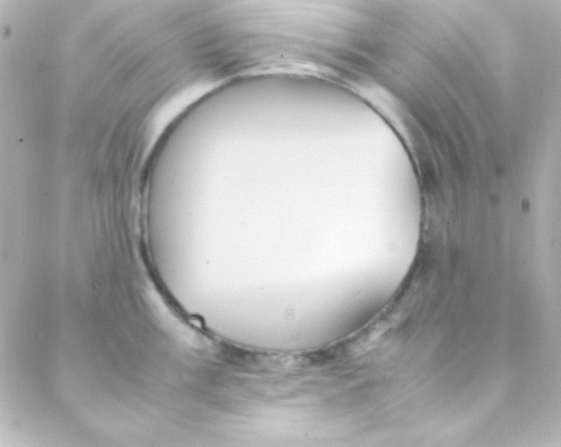 X0000088151003200705291418