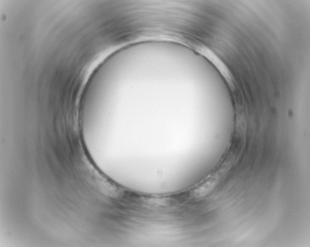 X0000088151004200705291418