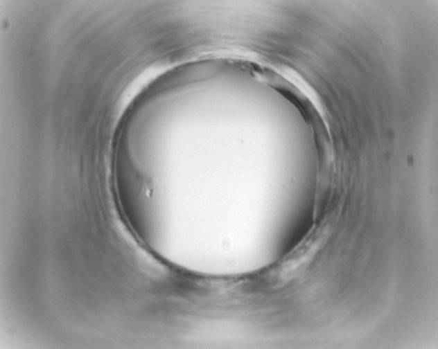 X0000088151005200705291418