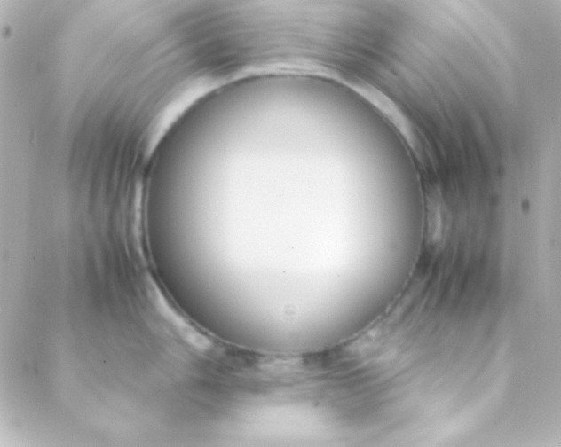 X0000088151006200705291418