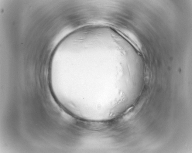 X0000088151007200705291418