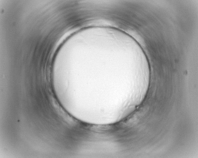 X0000088151008200705291418