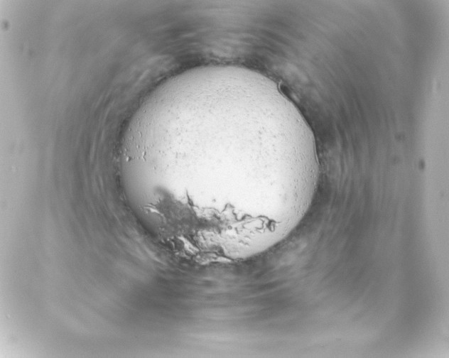 X0000088151009200705291417