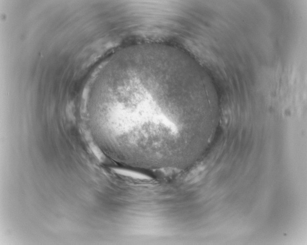 X0000088151010200705291417