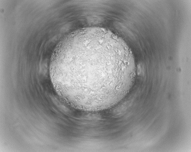 X0000088151011200705291417