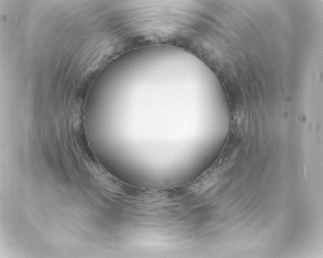 X0000088151012200705291417