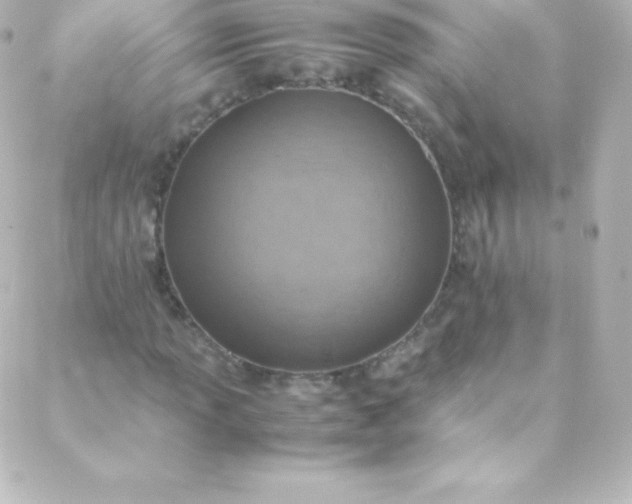 X0000088151013200705291417