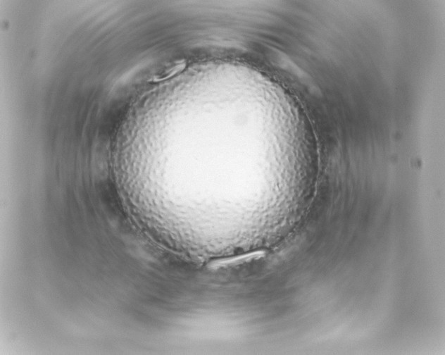 X0000088151014200705291417