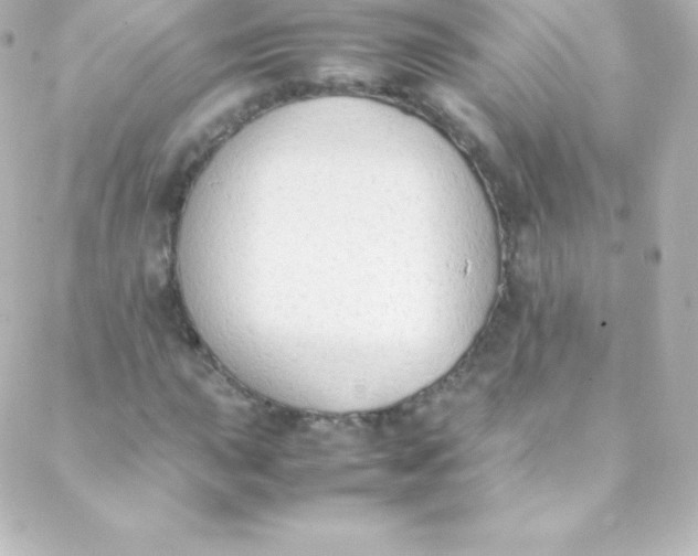 X0000088151015200705291417