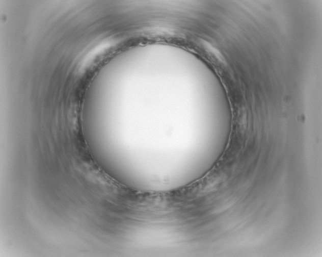 X0000088151016200705291417