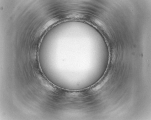 X0000088151017200705291417