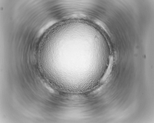 X0000088151018200705291417