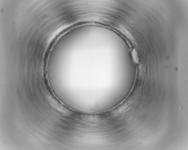 X0000088151020200705291417