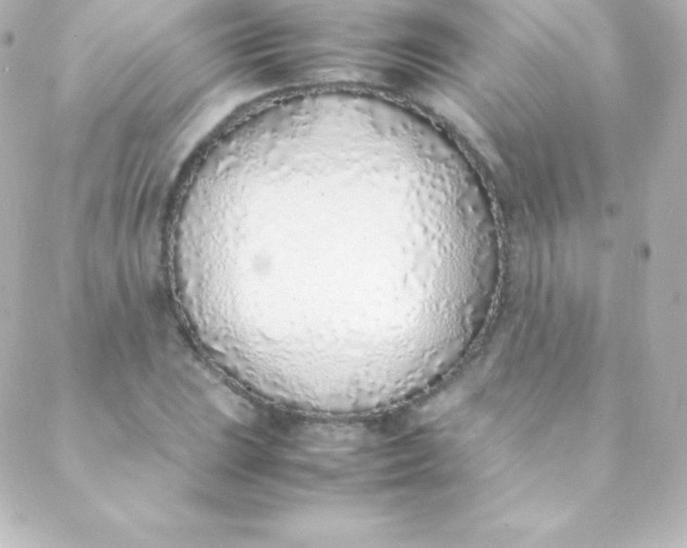 X0000088151023200705291417