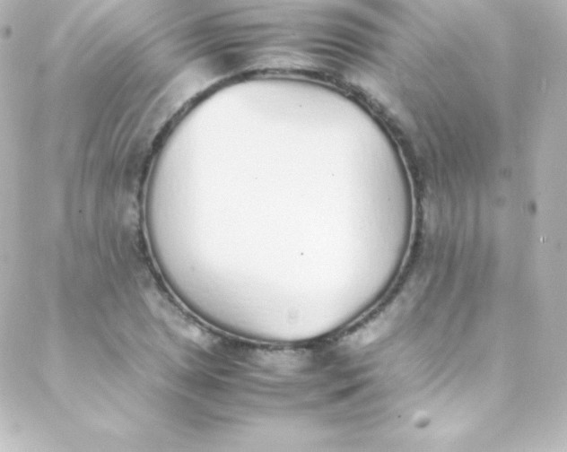 X0000088151025200705291417