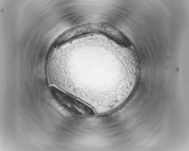 X0000088151026200705291417