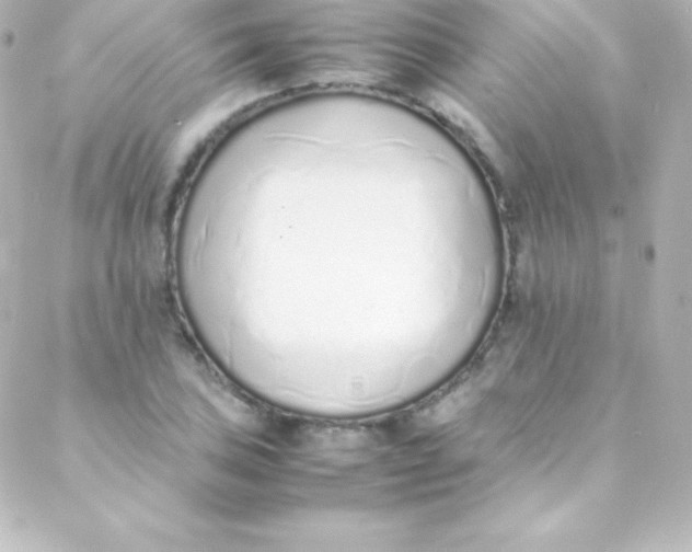 X0000088151027200705291417