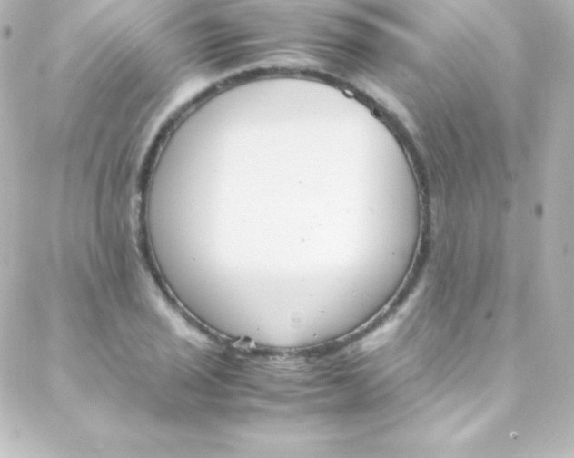 X0000088151029200705291417