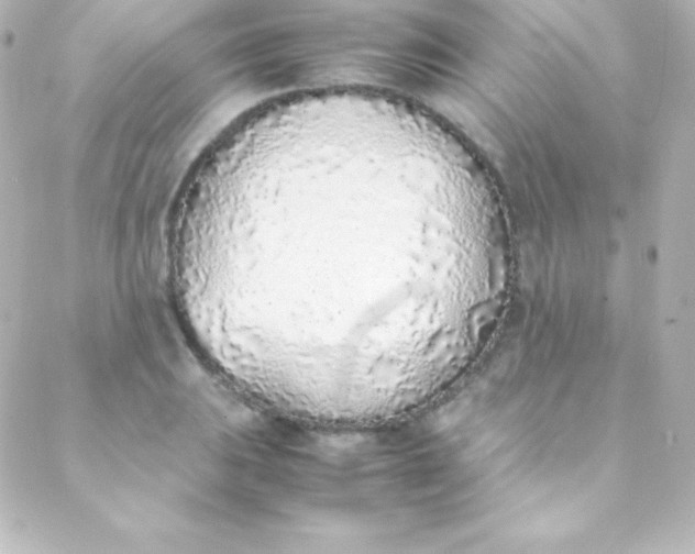 X0000088151031200705291417