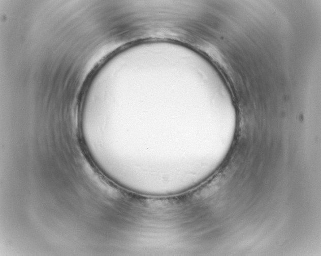 X0000088151032200705291417