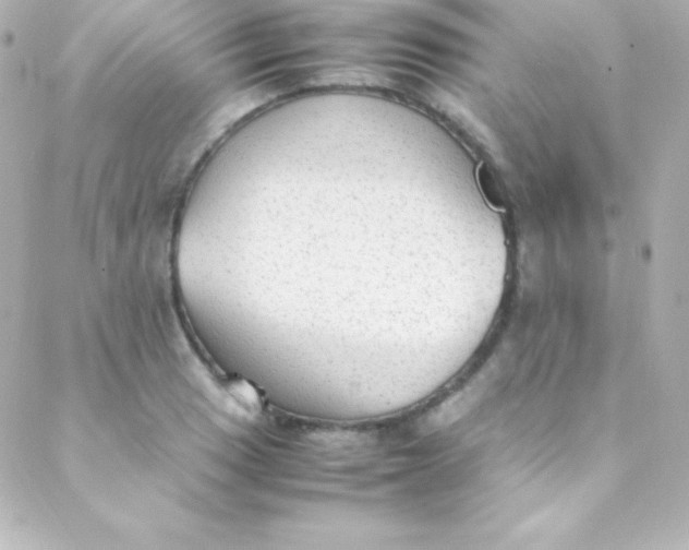 X0000088151033200705291417