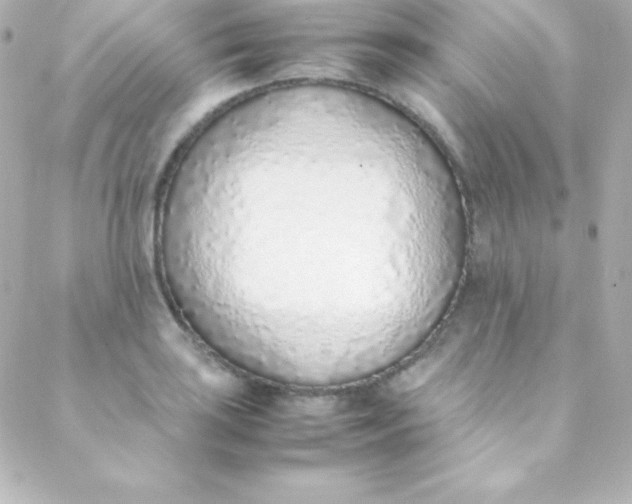 X0000088151035200705291417