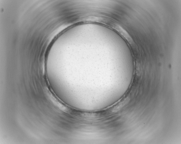 X0000088151036200705291417