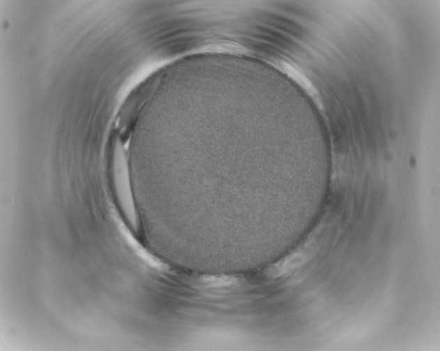 X0000088151037200705291417