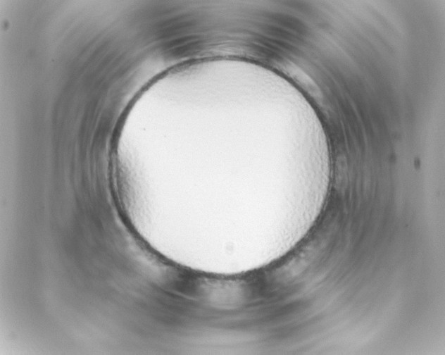 X0000088151039200705291418