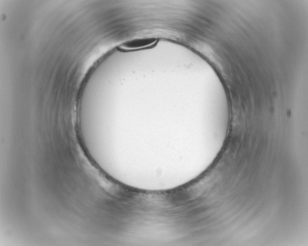 X0000088151040200705291418