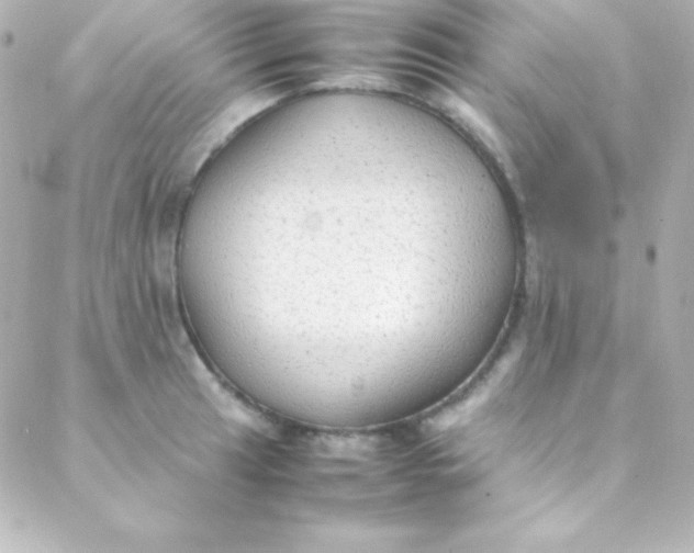 X0000088151041200705291418