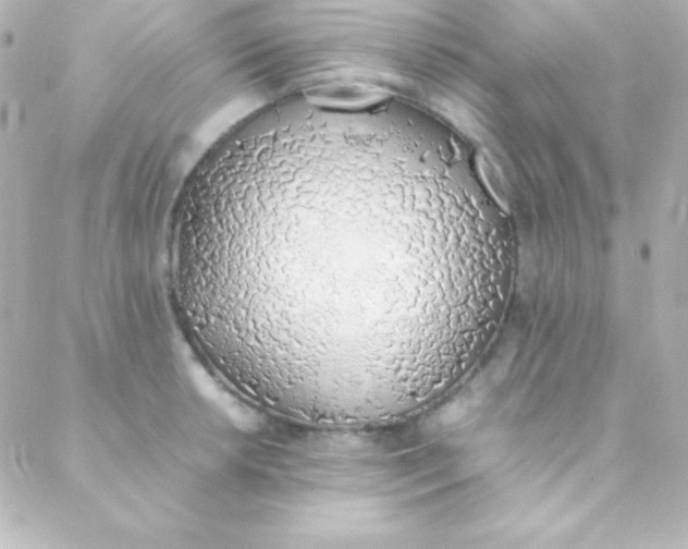 X0000088151042200705291418