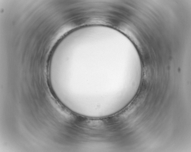 X0000088151043200705291418