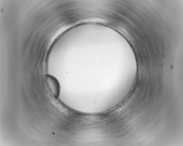 X0000088151044200705291418