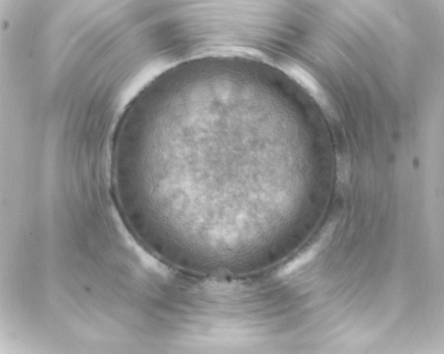 X0000088151046200705291418