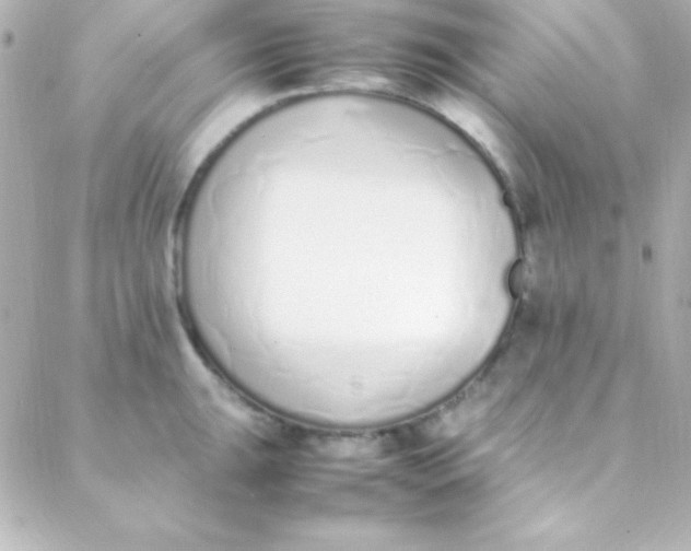 X0000088151047200705291418