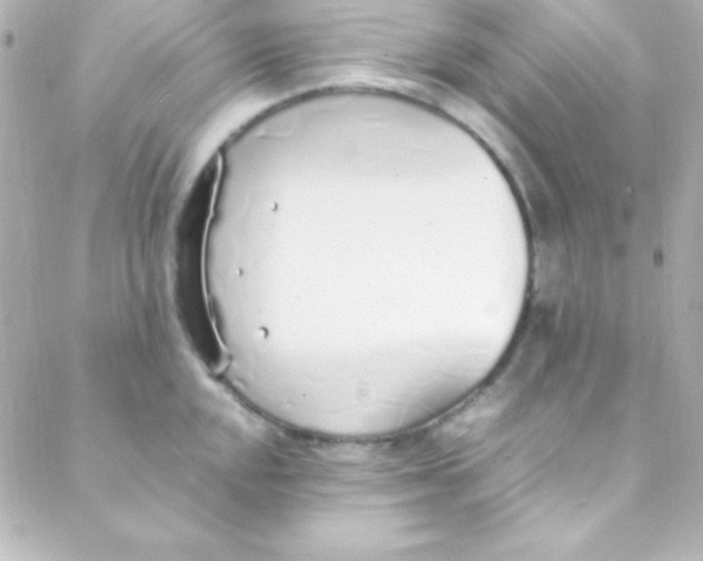 X0000088151048200705291418