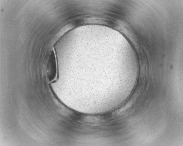 X0000088151049200705291418