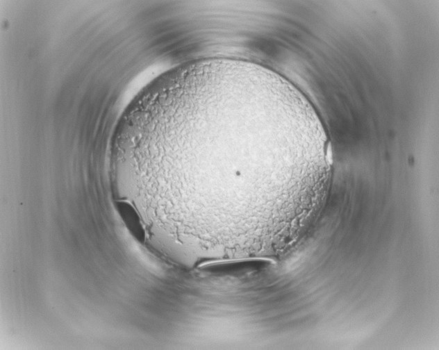 X0000088151050200705291418