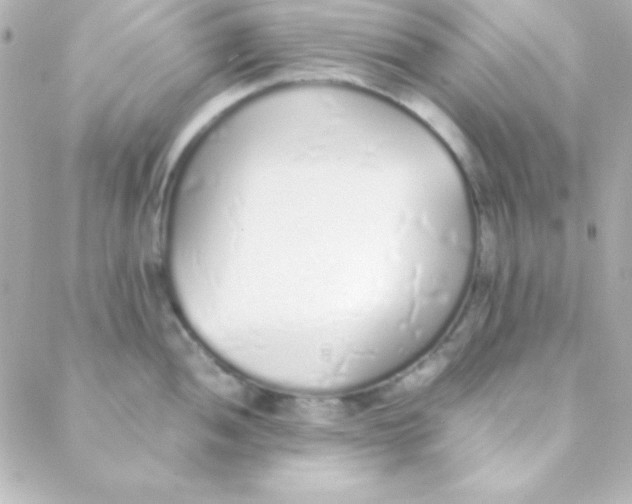 X0000088151052200705291418