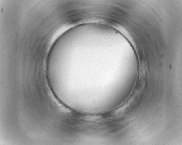 X0000088151053200705291418