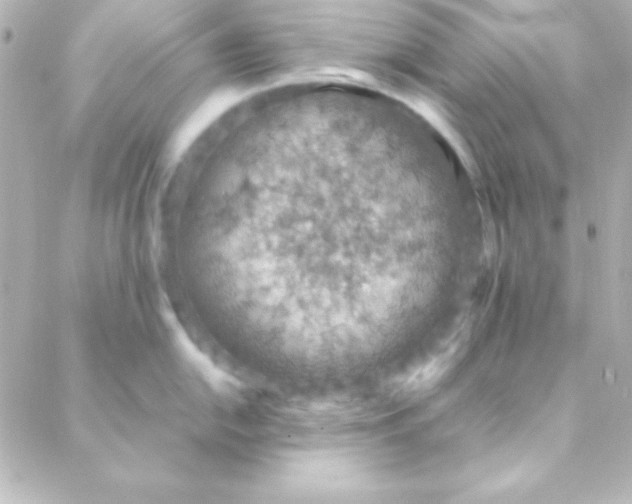 X0000088151054200705291418