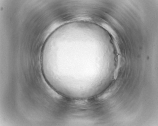 X0000088151055200705291418