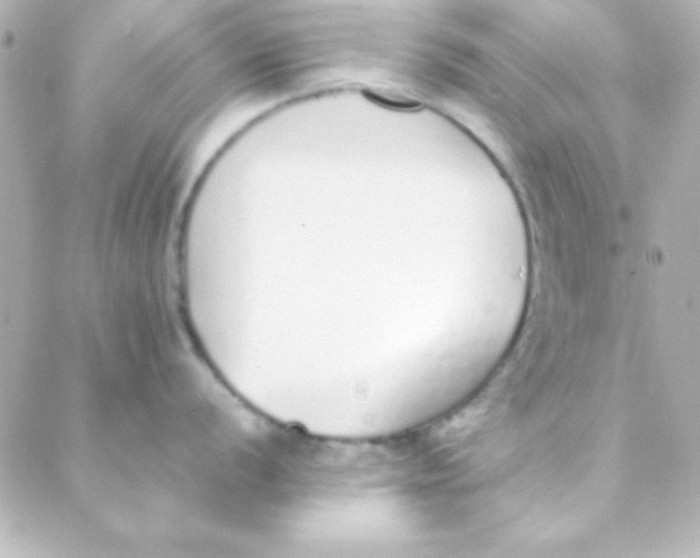 X0000088151056200705291418