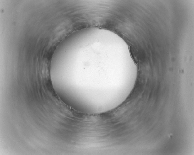 X0000088151058200705291417