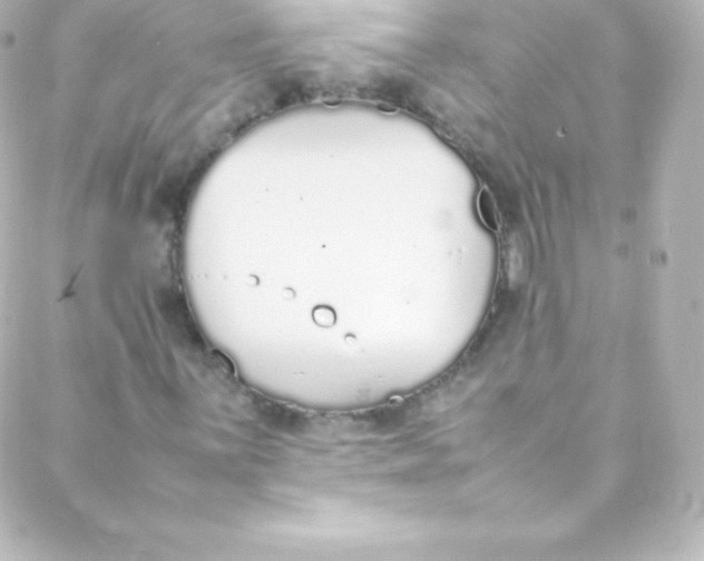 X0000088151059200705291417