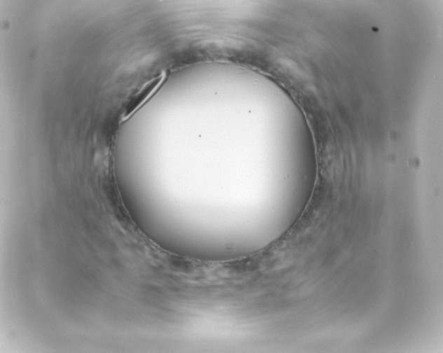 X0000088151061200705291417