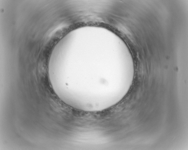 X0000088151063200705291417