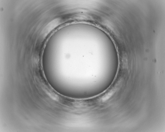 X0000088151065200705291417