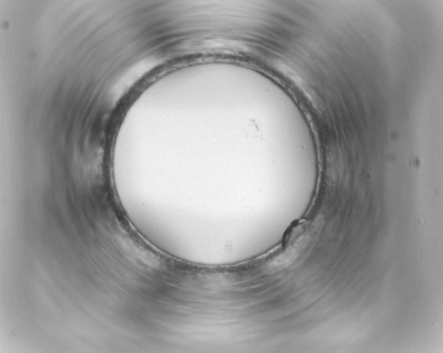 X0000088151066200705291417